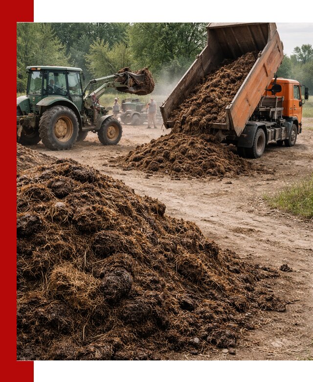 Доставка навоза самосвалами в Архангельске для сельхозпотребностей